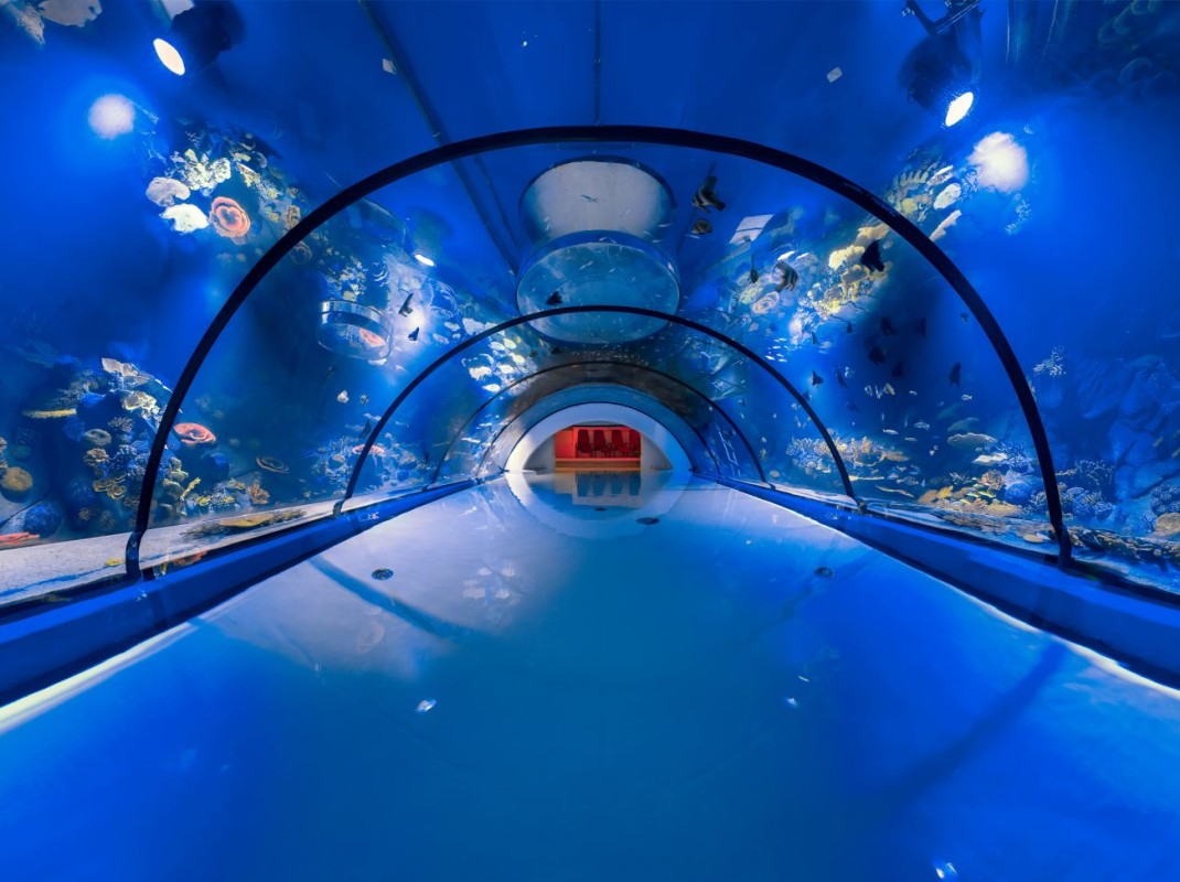Alpentherme Aquarium (C) Alpentherme, Marktl Photography